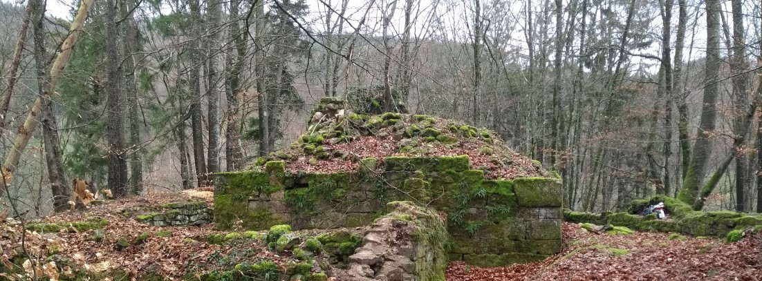 Mauerreste auf einer Bergkuppe im Wald